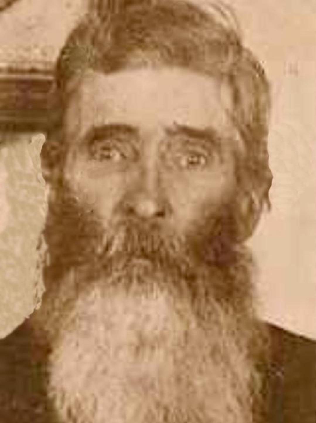 Taylor Reeves Bird (1832 - 1914) Profile